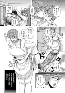 Mother’s Care Service How to ’Wincest’, 日本語