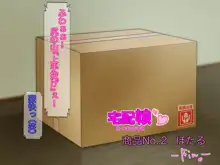 宅配娘～あなたの理想の女の子届けます～, 日本語