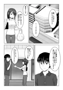 そんなつもりじゃなかったのに〜人妻美咲さんの場合〜, 日本語