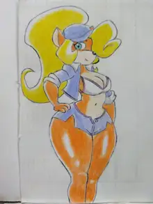 Crash Bandicoot - Coco Bandicoot various suit, 日本語