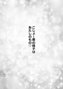 その着せ替え人形はHをする総集編＋5, 日本語