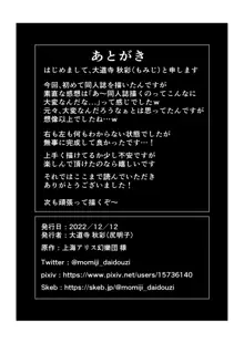 レミリア様とフランちゃんの壁尻本, 日本語