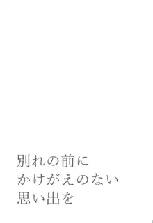 別れの前にかけがえのない思い出を, 日本語