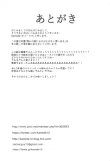 別れの前にかけがえのない思い出を, 日本語