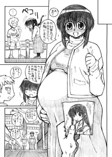 Pregnant Summer, 日本語