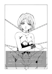 Asuka's Diary 01, 日本語