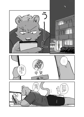 【おまけ漫画】その日の夜, 日本語