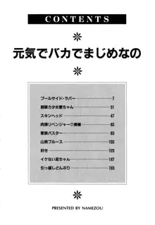 元気でバカでまじめなの, 日本語