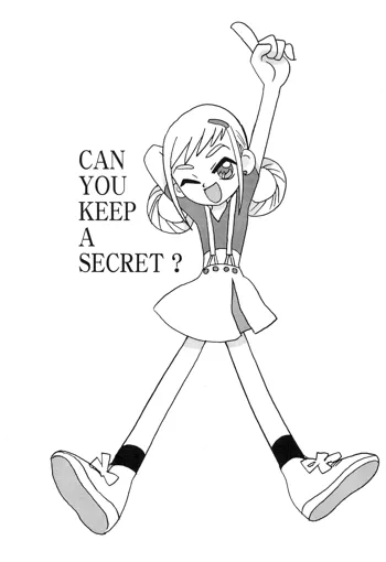 CAN YOU KEEP A SECRET?, 日本語