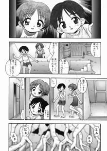 樅の家, 日本語