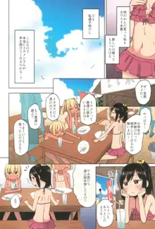 どきどき 真夏の海deナンパされたよ！, 日本語