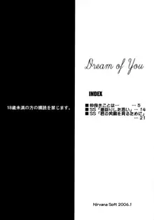 Dream of You, 日本語