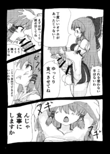 東方ふたなり受け合同誌, 日本語