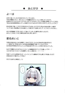 電脳少女は仮想世界に沈みゆく, 日本語