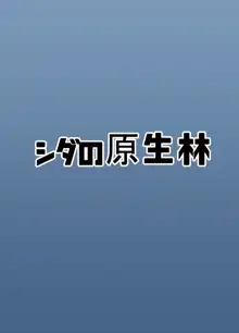 ビッチJKリサちゃんの場合, 日本語