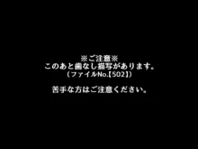 催眠教団に奪われるボテ腹編 ～大切な彼女たちが教祖様の子を産むお話～, 日本語