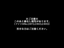 催眠教団に奪われるボテ腹編 ～大切な彼女たちが教祖様の子を産むお話～, 日本語