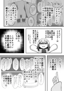 ふぉー・ふーむ・おーる・わーくす, 日本語