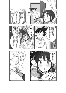 Goku x Chichi story throughout time, 日本語