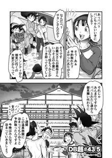 Goku x Chichi story throughout time, 日本語