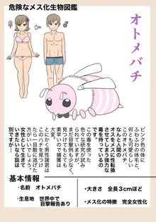 女体化幼馴染, 日本語