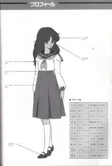 くりぃむレモン メモリー 記録写真集, 日本語