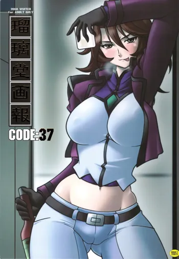 瑠璃堂画報 CODE：37, 日本語