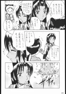 私立三絃堂学園11號, 日本語