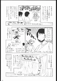 私立三絃堂学園11號, 日本語