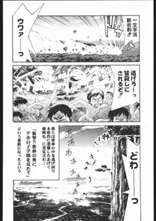 私立三絃堂学園11號, 日本語