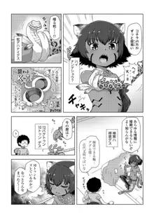 髑髏とジャガーと生贄と, 日本語