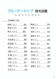 ブルアカ陰毛図鑑Vol.2, 日本語