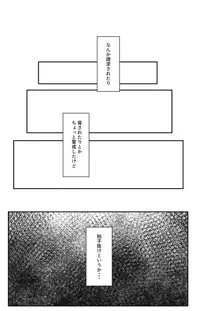 家出ギャルを拾ったらハーレムになった話, 日本語