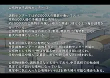 公有物少女 ～国の所有物として人権を剥奪され物として扱われる女の子の話～, 日本語