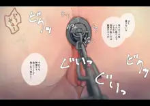 公有物少女 ～国の所有物として人権を剥奪され物として扱われる女の子の話～, 日本語