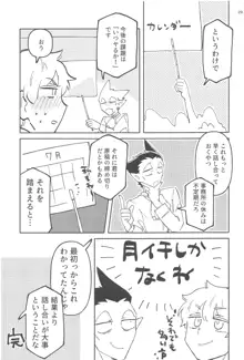 ゼットエイチケーエヌエヌ！, 日本語