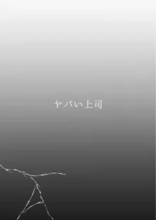 愛していいのは、カラダだけ, 日本語