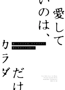 愛していいのは、カラダだけ, 日本語