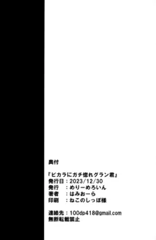 ビカラにガチ惚れグラン君, 日本語