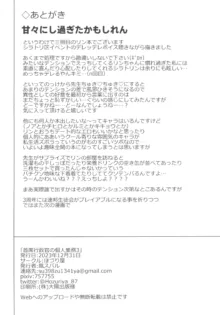 首席行政官の個人業務3, 日本語