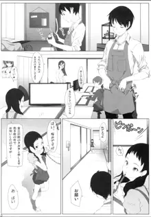 乙女作家と嫁日記, 日本語