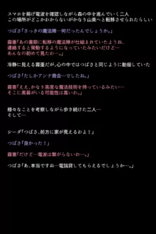 もし英雄たちが敗北し奴隷にされてしまったら!?, 日本語