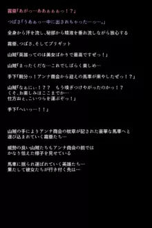 もし英雄たちが敗北し奴隷にされてしまったら!?, 日本語