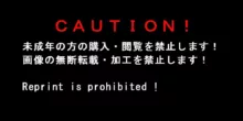 もし英雄たちが敗北し奴隷にされてしまったら!?, 日本語