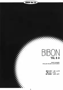 BIBON VOL 3.0, 日本語