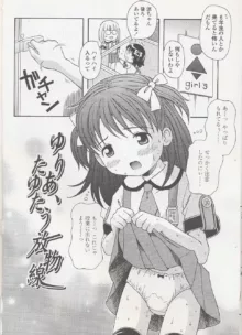 未成熟しょうじょ図鑑, 日本語