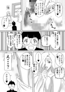 変な話・・・ある日、女神が降ってきた, 日本語