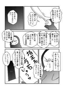 変な話 #13, 日本語