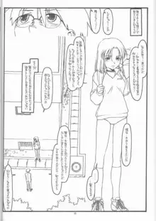 DESTRUCTION GIRL appendix^2, 日本語