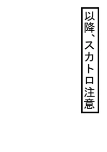 なですこの総集編, 日本語